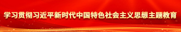 老女人的骚屄学习贯彻习近平新时代中国特色社会主义思想主题教育